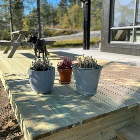 With Sauna At Norefjell *