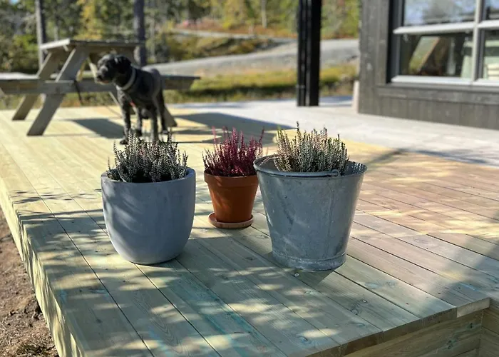 With Sauna At Norefjell *